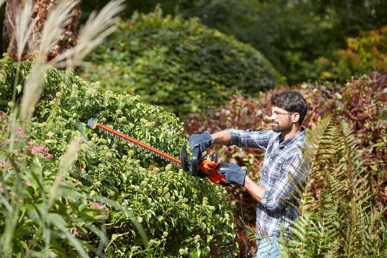 blackdecker nożyce