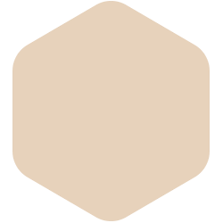 bondex