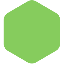 bondex