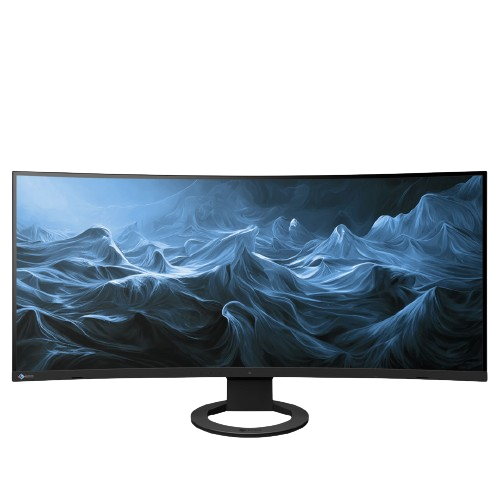 Eizo FlexScan EV3895 BK
