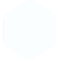 bondex
