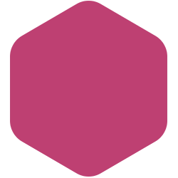 bondex