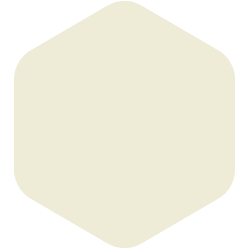 bondex