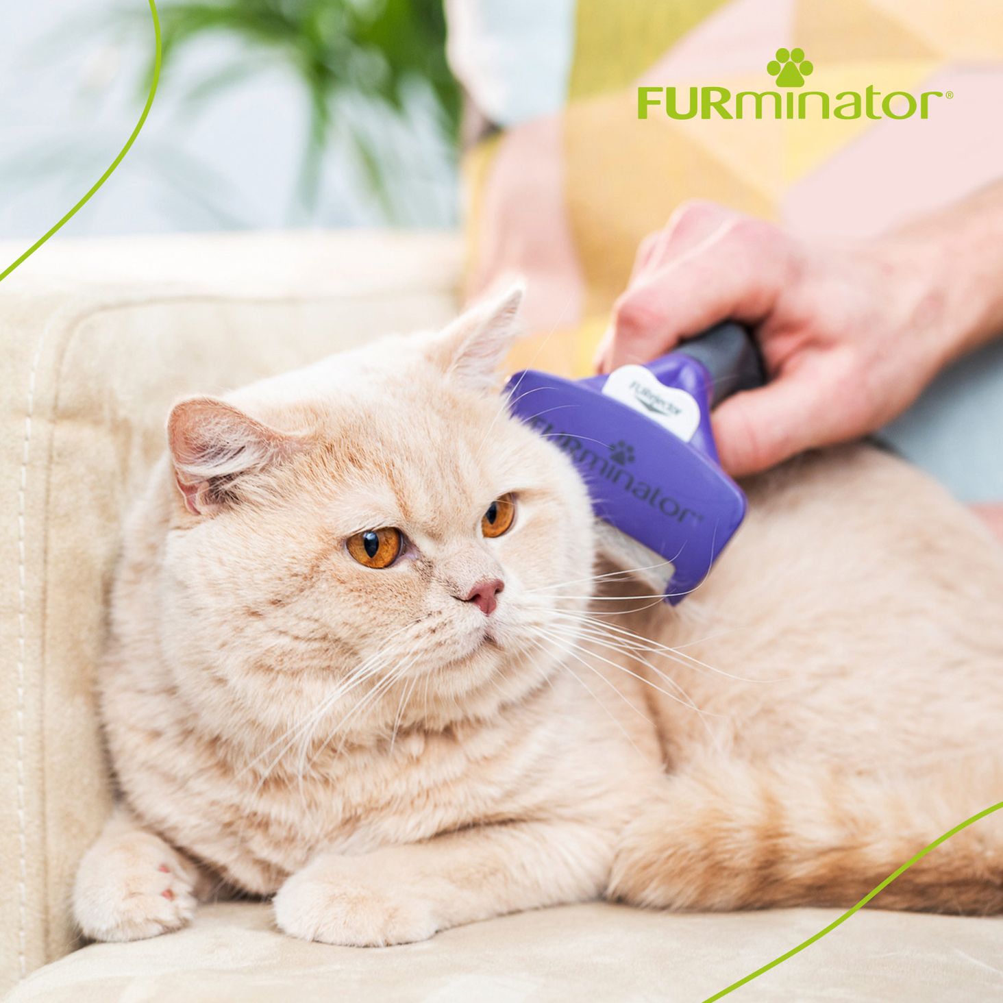  FURminaor zdjęcie 3