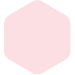 bondex
