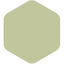 bondex