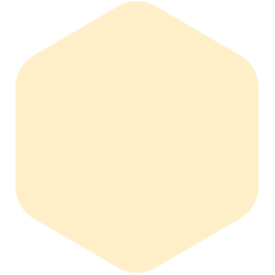bondex