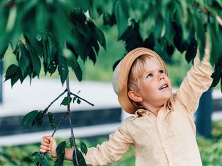 koszula dla chłopca