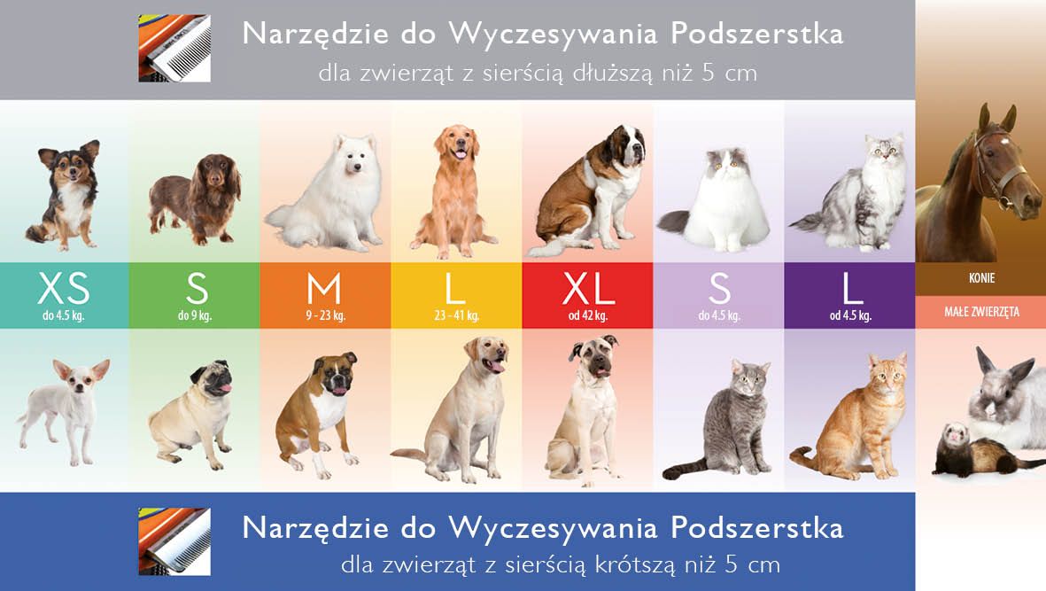 Dostępne warianty szczotki
