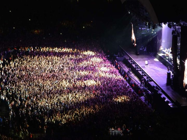 koncert