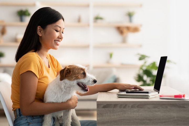 Smiling korean woman with dog typing on laptop keyboard