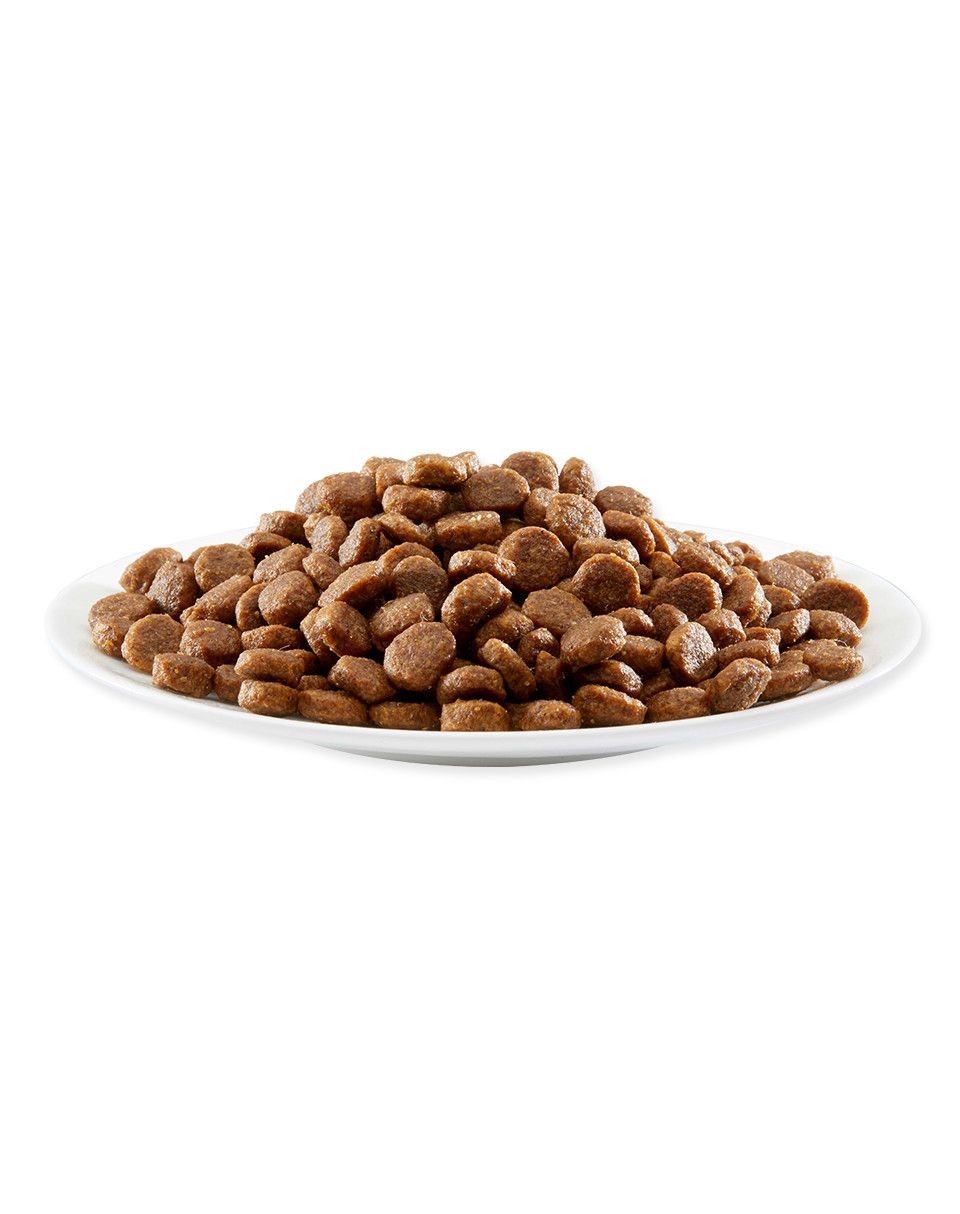 Applaws Cat Adult Kurczak Łosoś 7,5kg