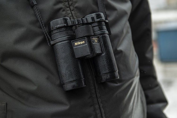 Nikon