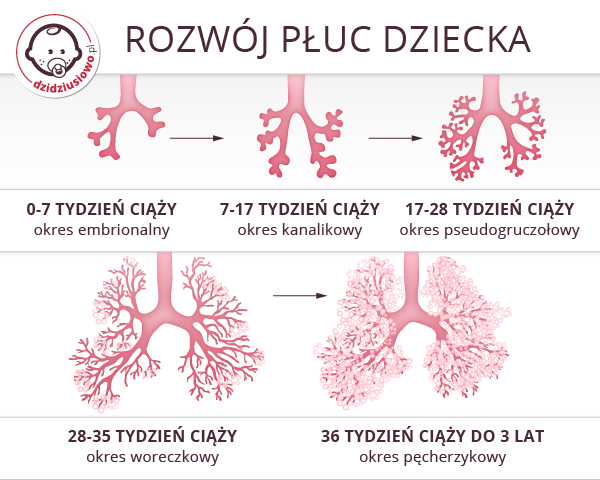 3 darmowe porady dotyczące sterydy naturalne