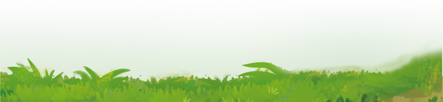 monkey palace baner 2