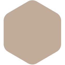 bondex