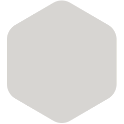 Bondex