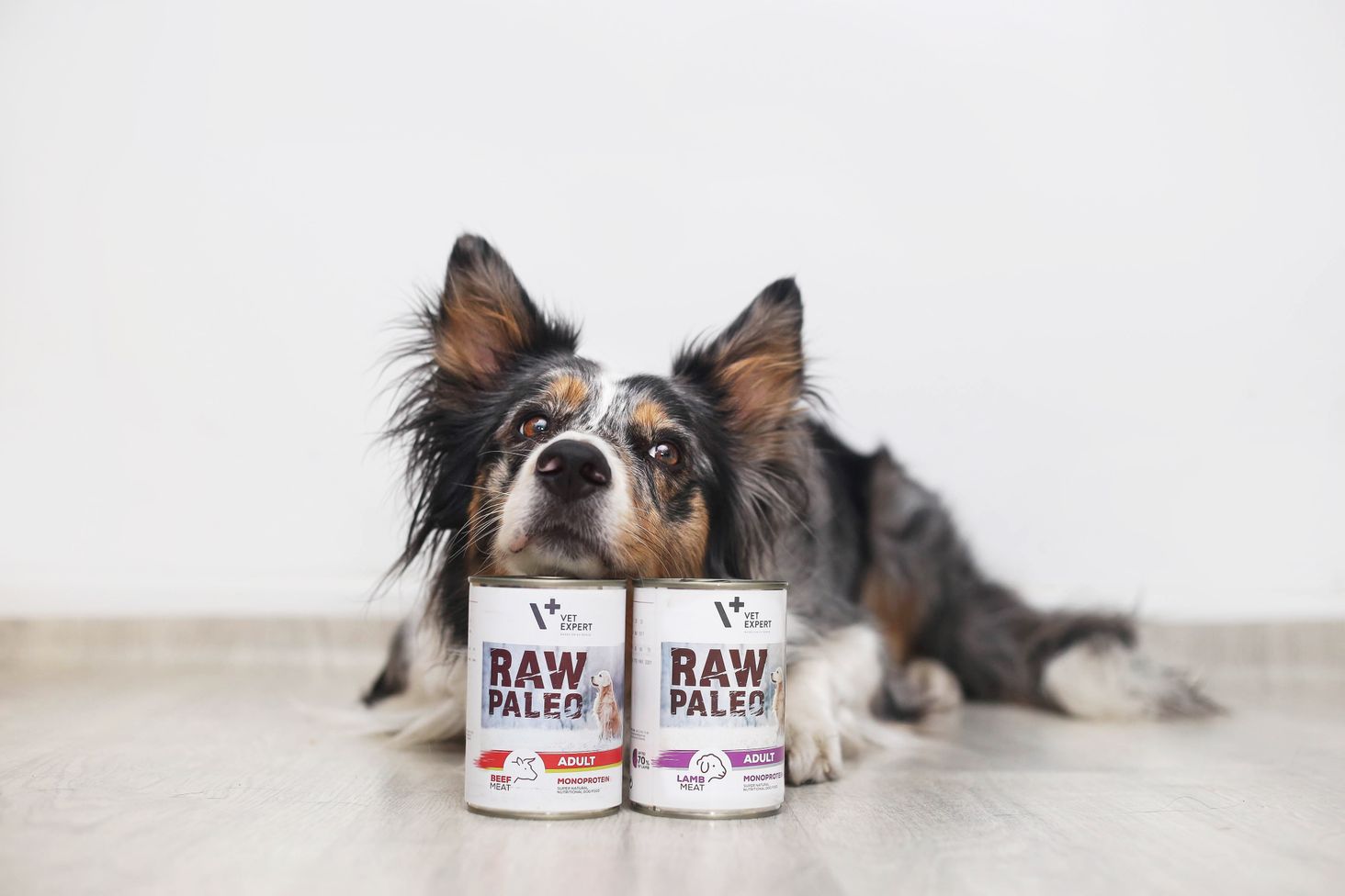 Raw paleo adult beef wołowina