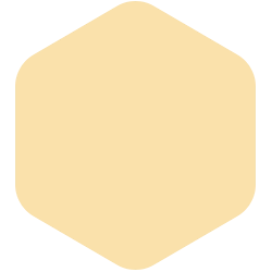 bondex