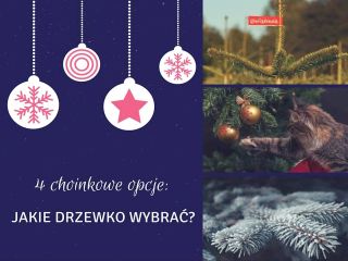 Jakie drzewko wybrać? - 4 choinkowe opcje