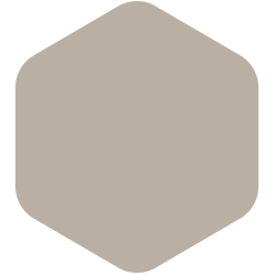 bondex