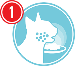 royal canin