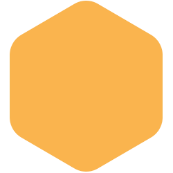 bondex