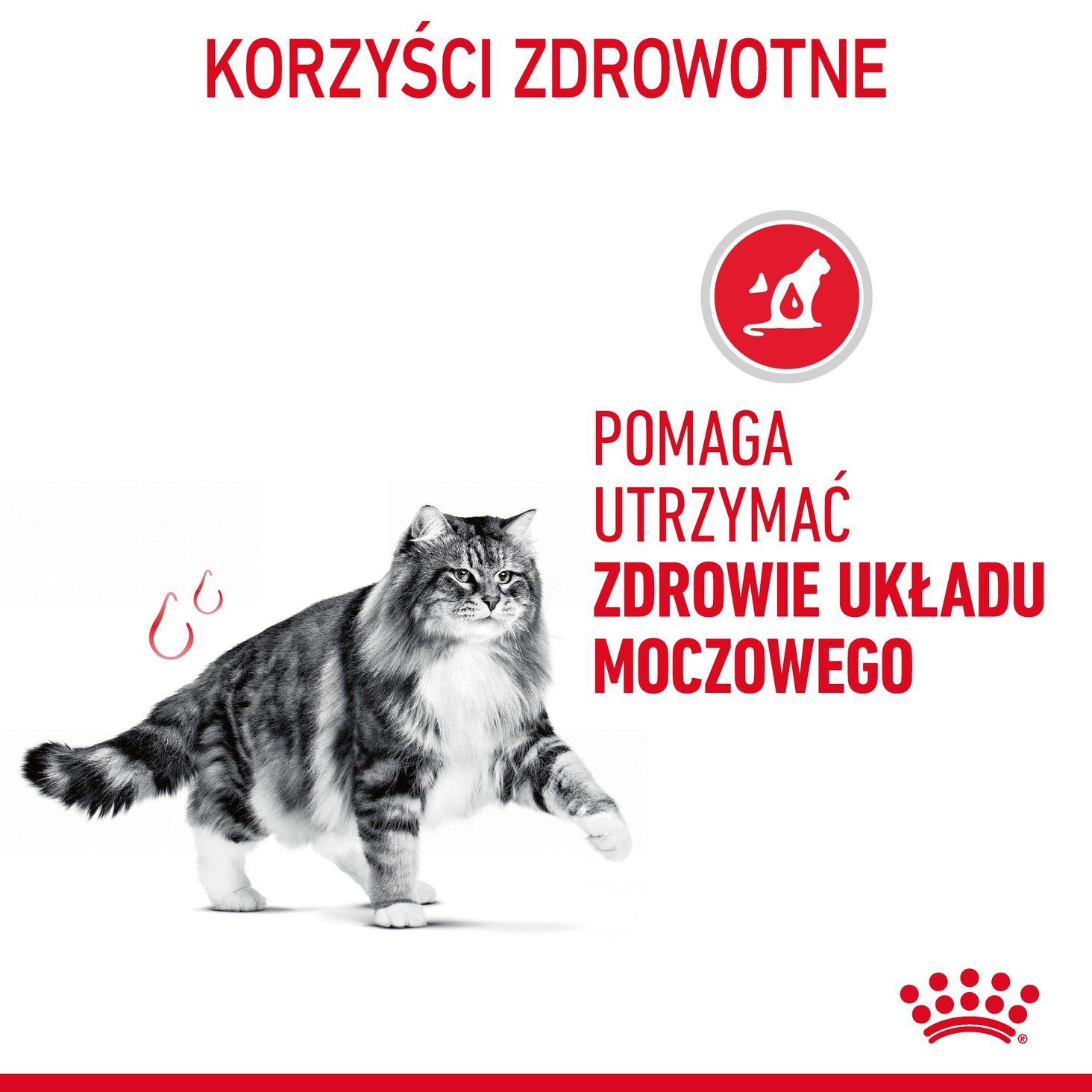 urinary Care- korzyści