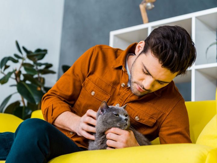 felinoterapia