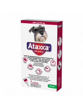 Ataxxa 1250 Mg/250 Mg Dla Psów 10-25 Kg 1X2,5 Ml - Ceny I Opinie - Ceneo.pl