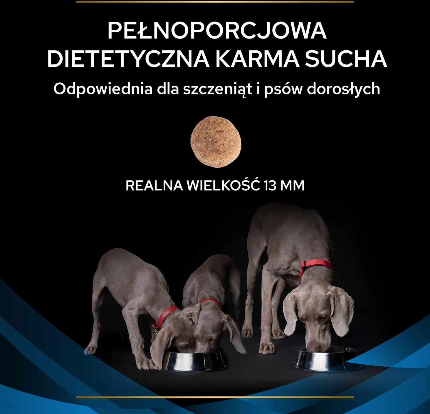Ветеринарний корм Purina Pro Plan для собак, 2 упаковки