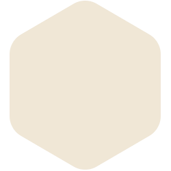 bondex