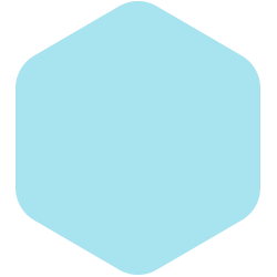 bondex