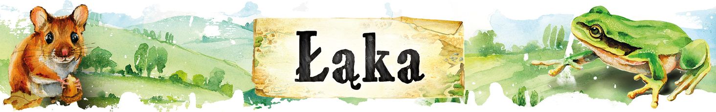 łąka baner