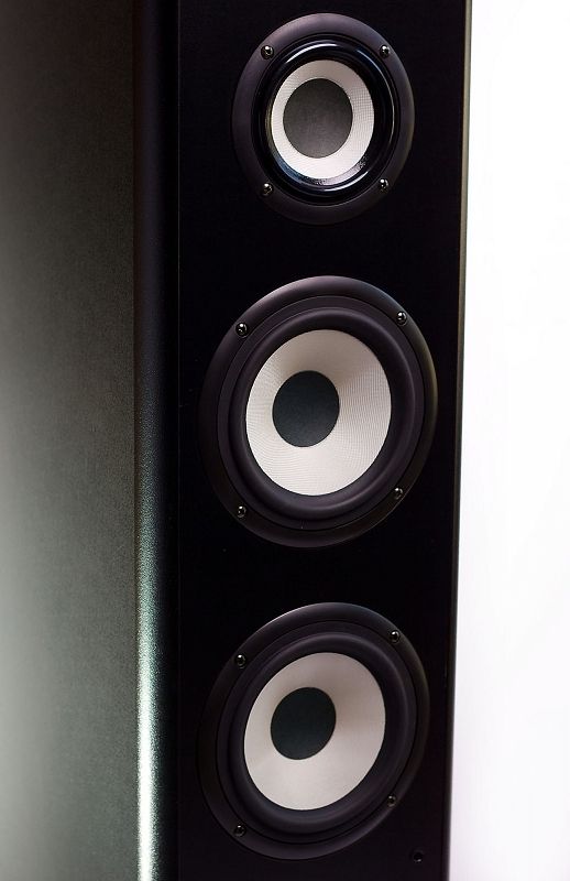 tonsil maestro s czarny - opinie i ceny na ceneo.pl