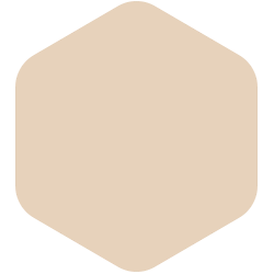 bondex