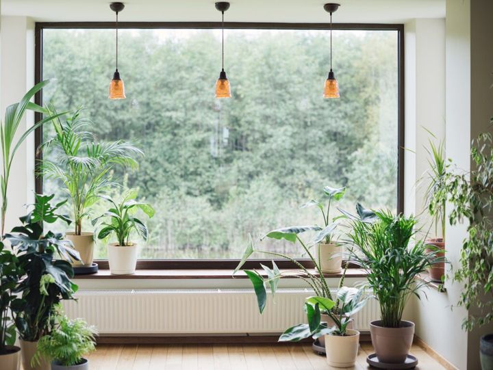 styl urban jungle