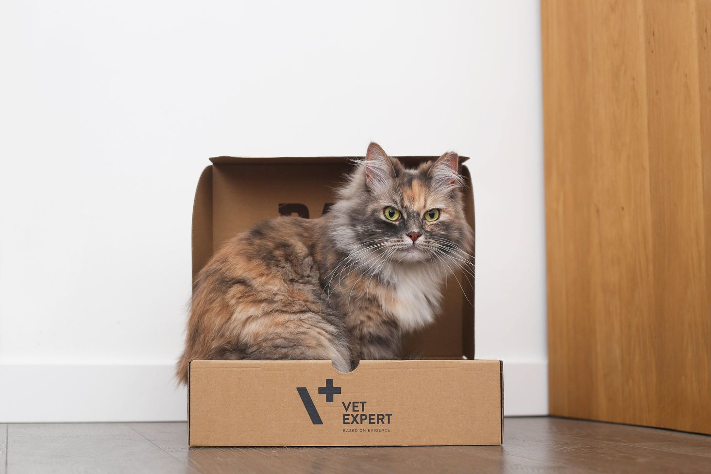 vetexpert