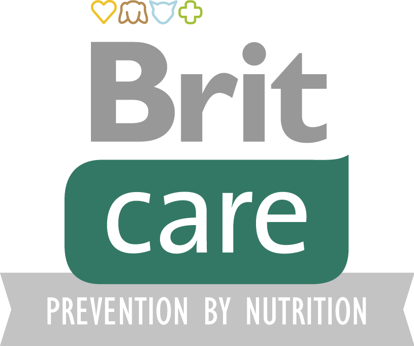 Brit care logo