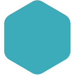 Bondex