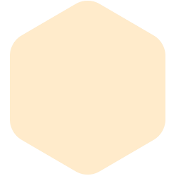 Bondex