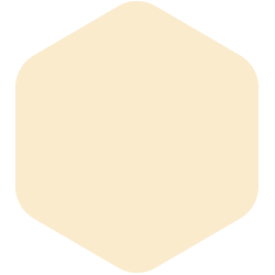bondex