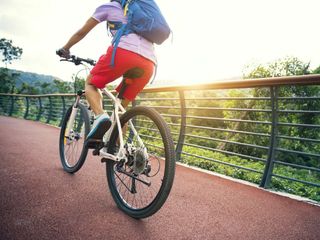 jaki rower do 1500 zł