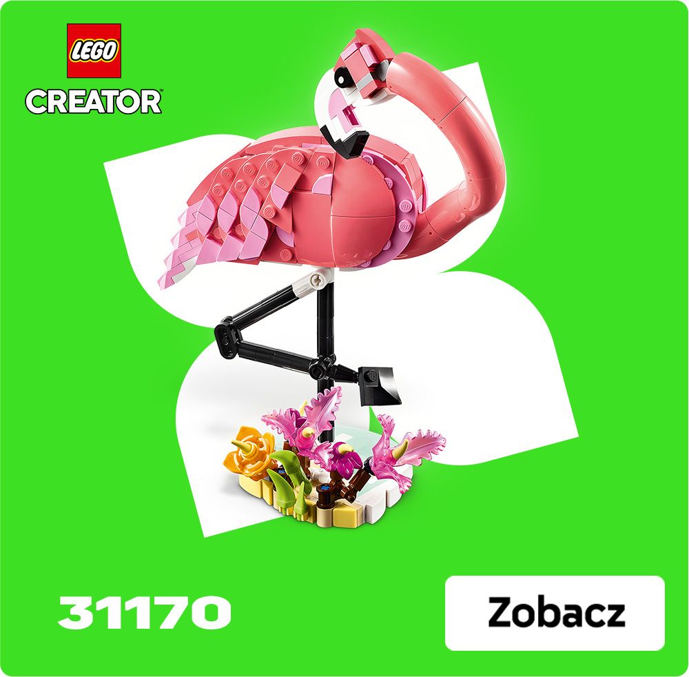 31170