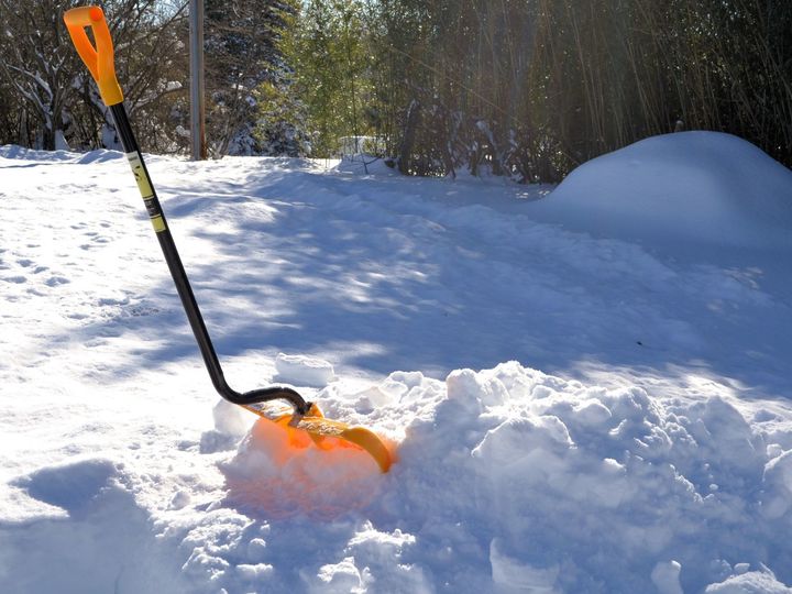 Shovel Racing