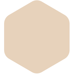 bondex