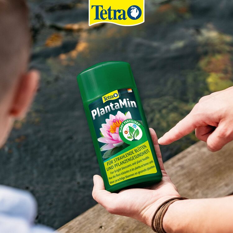 Tetra dawkowanie-3