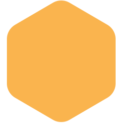 bondex