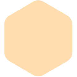 bondex