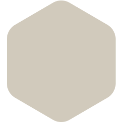 bondex